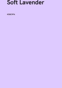 Westside Cute Lavender Top