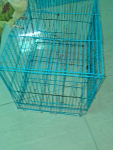 Blue Bird Cage