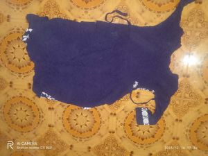 Elegant Navy Blue Embroidered Kurta