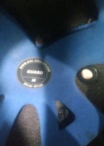 DSC Cricket Bat with SG Cover