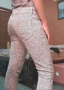 Animal Print Pants