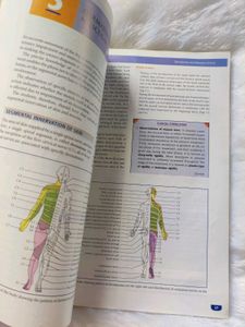 NEUROANATOMY TEXTBOOK