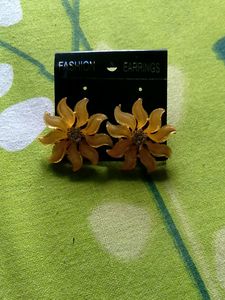 Fashion Earrings