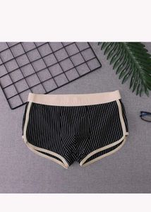 Striped Boxer Briefs