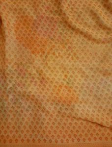 Cream and Orange Saree with Blouse