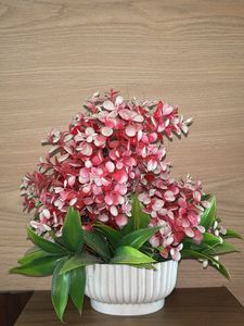 Floral Arrangement in White Pot