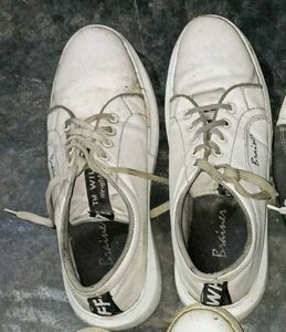 Sneaker Shoes