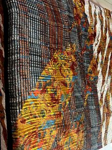 Multi Color Designer Saree