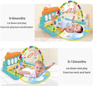 Play Gym Mat