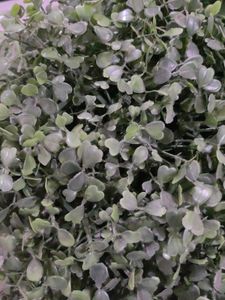 Artificial Green Plant