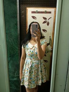 Floral Fit & Flare Peter Pan Collar Dress