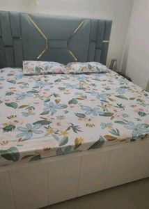 Elastic Fitted Double Bed Bedsheet with 2 Pillow C