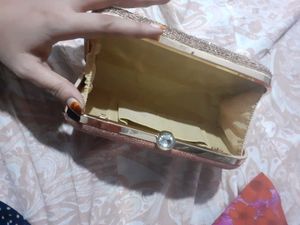 Sparkly Evening Clutch
