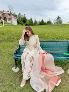 New Stayle Beautiful Pakistani Dress Inpoted Dres