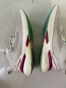 Campus Shoes
