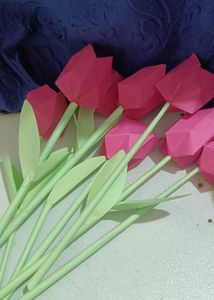 Tulip 🌷