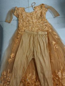 Elegant Ethnic Dress Material