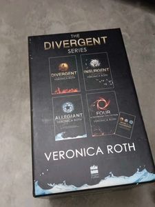 The Divergent Series
