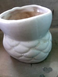 Owl Pot