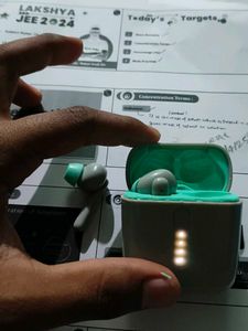 Only 300 Earbuds