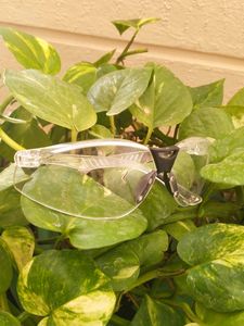 Smarty Glasses Ay Science Glass 🤌🏻