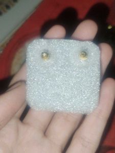 Gold Plated Earrings