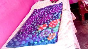 Beautiful Saree 2
