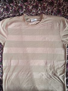Striped Crew Neck T-Shirt