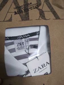 Striped Polo Shirt
