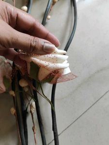 Floral Stem Arrangement