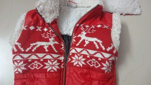 Stylish Beautiful Winter Sleeveless Jacket