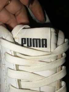 Puma Ralph Sampson Sneakers