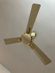 Ceiling Fan
