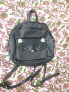 A Kitty Bag