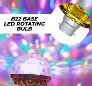 2 Pis Bulb
