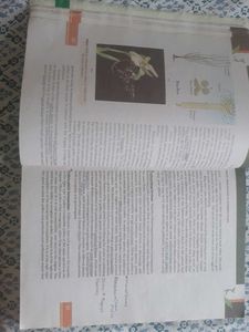 NCERT Class 12 Biology (COVERED)