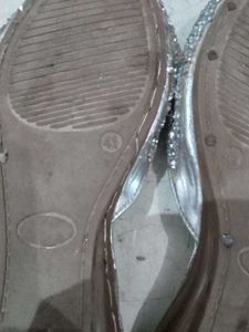 Silver  Flats