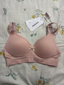 Padded T-shirt Bra (seamless)