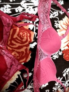 DAILY WEAR BRAS