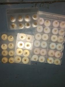 24 Pairs Earrings