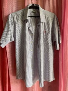 Striped Short Sleeve Button Down