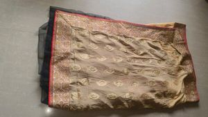 Regal Beige Saree Zardosi and Black Net Accents