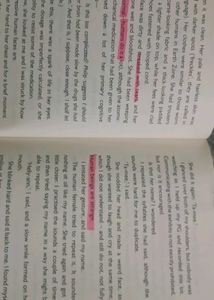 The Kid Who Came From Space