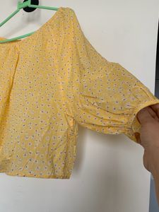 Cotton Top