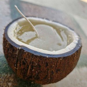 Pure Coconut Candle – Natural &amp; Minimalist Glow