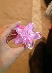 Pinterest Inspired Claw Clips