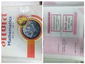 Class 12th Ncert Books All Subject PCM Stream In H