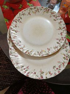 Dinner Plate 5 Pieces