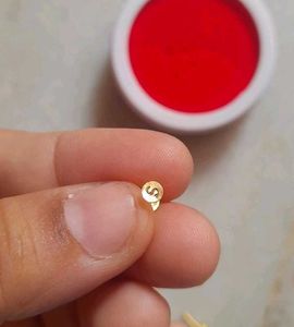 Beautiful New Dimond Cut Nosepin