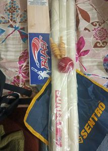 Cricket Kit - Bat, Stumps, and More!